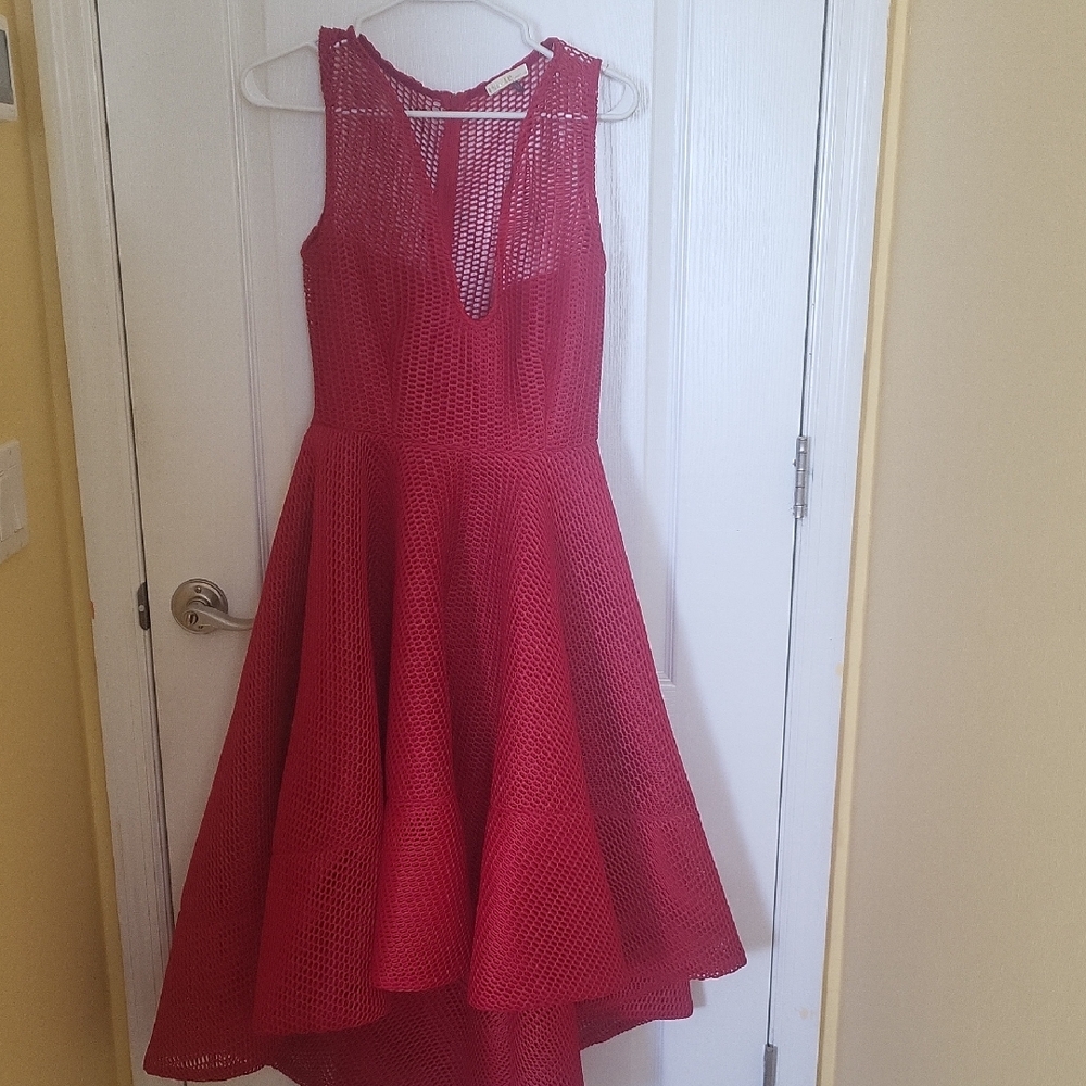 Issue New York Red Sleeveless Dress